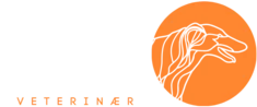 CaniSport
