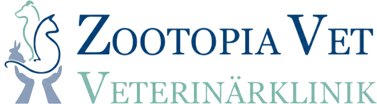 Zootopia Vet
